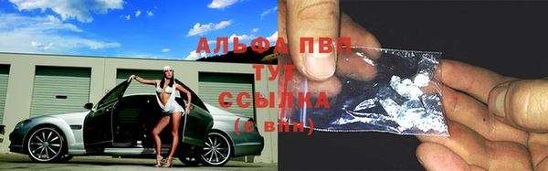первитин Богданович