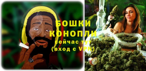 первитин Богданович