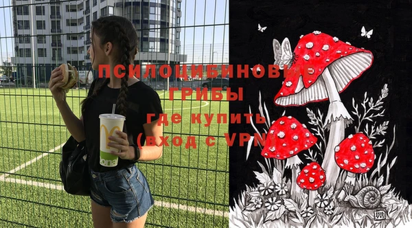 первитин Богданович