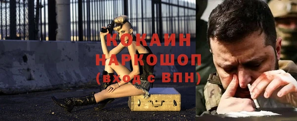 первитин Богданович