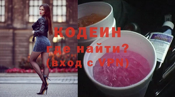 шишки Бородино